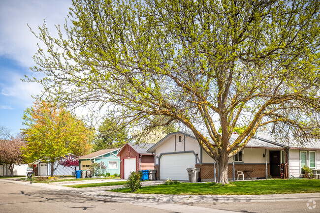 Classic ranch style homes in Collister offer up nice lots with mature shade trees.