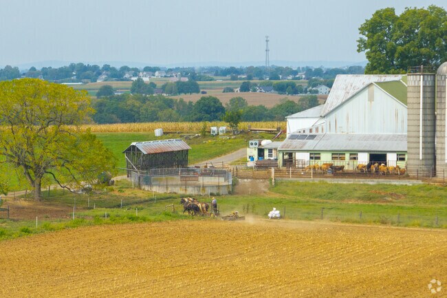 A farmer tends to his field just off Harristown Road in Paradise.