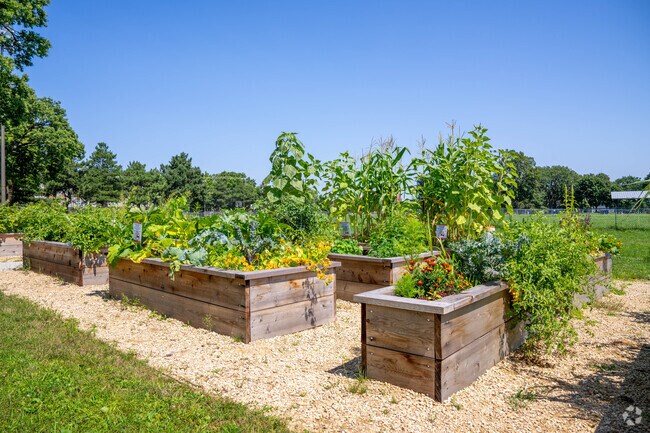 A community garden with reservable plots in located in Peavey Park.