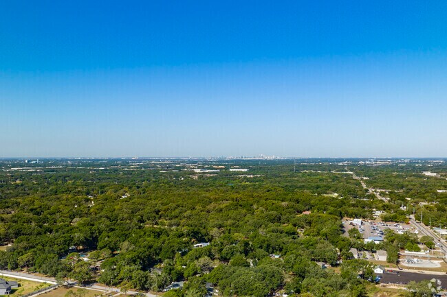 The Mango neighborhood sits among the trees with Tampa in the background.