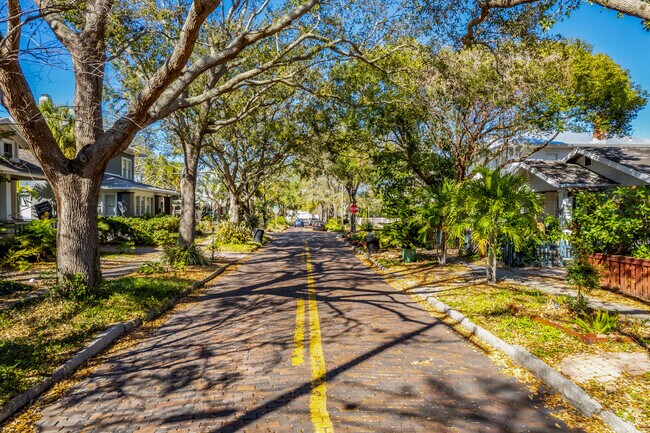Go for a walk under the lush trees above the residential streets in Old Northeast.