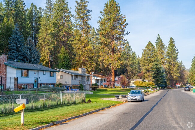 The Chester neighborhood offers lots of space in the neighborhood to walk.