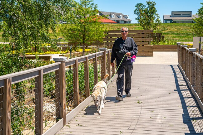 Take your dog for a walk on the Bucktown Marsh Boardwalk at the Bucktown Marina.