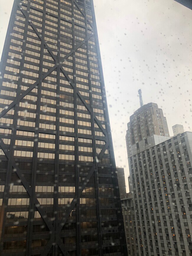 Plaza on Dewitt unit 307, Chicago, IL 60611 - photo 7