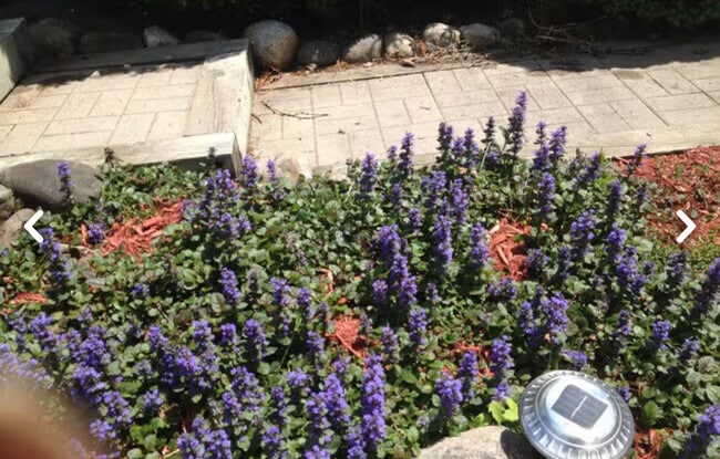 26 Rochester St unit 26B1, Dryden, NY 13053 - photo 4