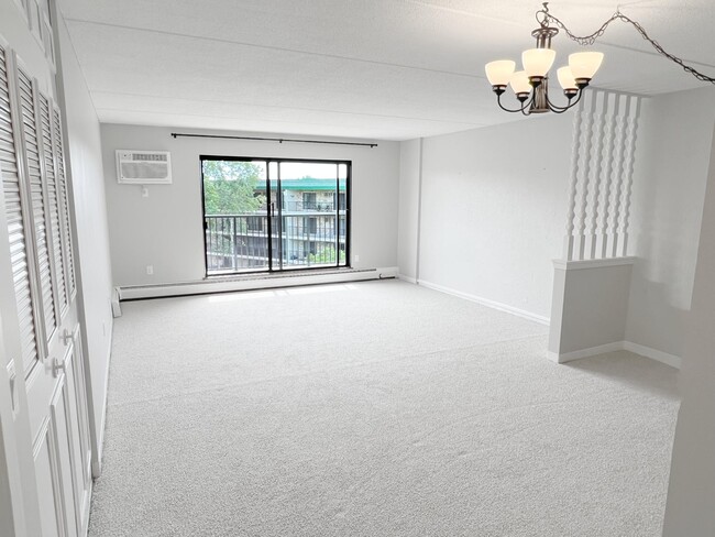 Living Room new carpet