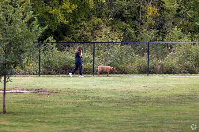 A woman enjoying a conversation on her phone while at Rose West Dog Park in Rabbit Run.