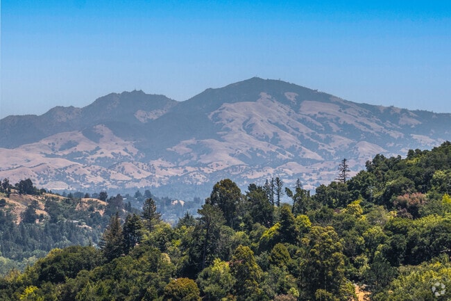 Mt. Diablo stands majestically visible from many homes in Orinda Woods.