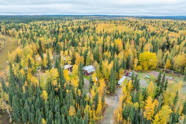 Salcha homes offer plenty of privacy amongst forests.