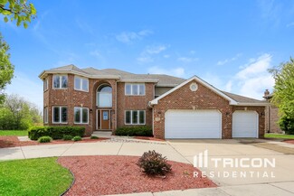 18280 Tralee Trail, Tinley Park, IL 60477