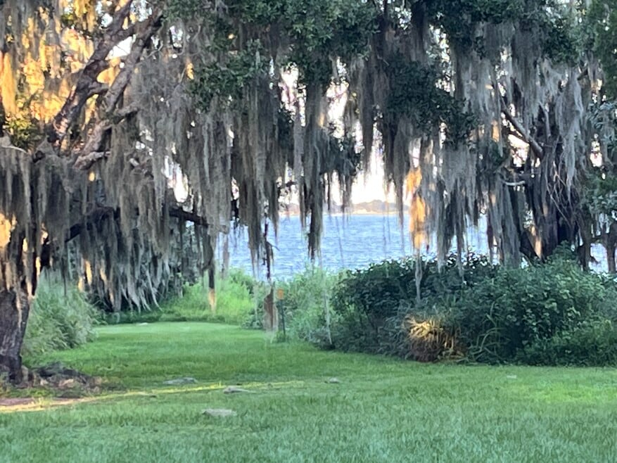 1652 Barney Bass Rd, Frostproof, FL 33843 - photo 1