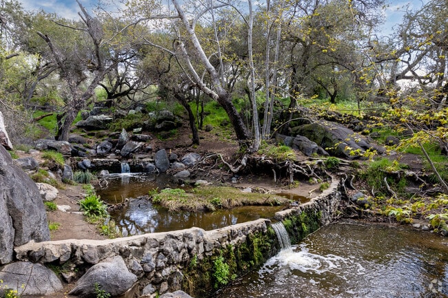 One of Many Streams Located in Felicita County Park