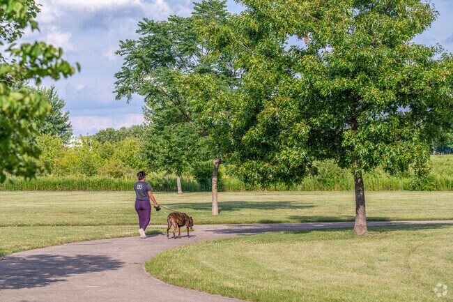 A Montgomery South local walks her dog on a summer evening at Blackberry Trail Park.