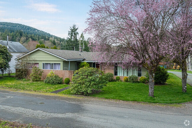 This beautiful rambler sits next to a gorgeous cherry blossum tree in the Upper Preston neighborhood.