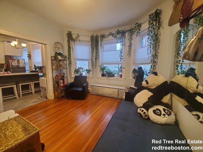 76 Strathmore Rd, Brighton, MA 02135 - photo 4