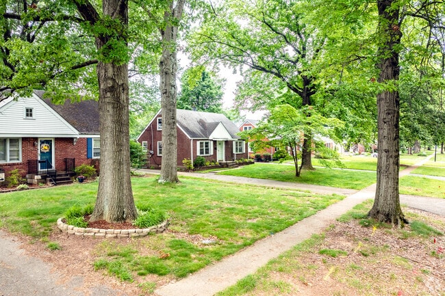 Large mature trees are the hallmark of many Hikes Point streets.