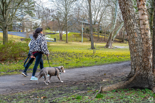 Stroll through Merion Botanical Park in Merion Station  with your four legged friends.