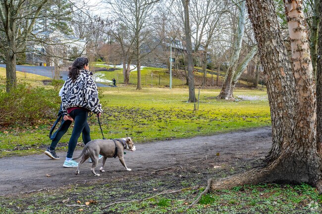 Stroll through Merion Botanical Park in Merion Station  with your four legged friends.