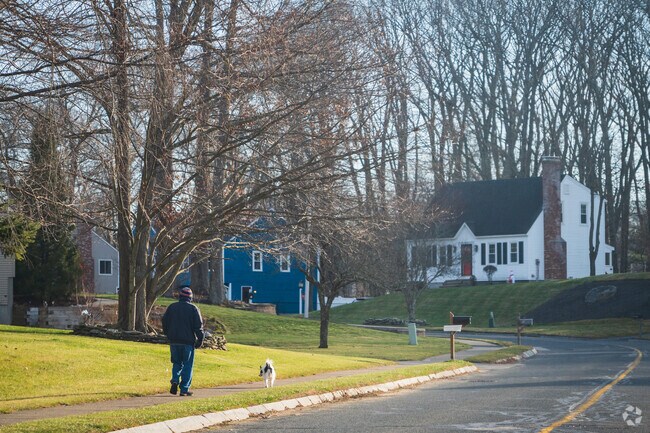 Local walks pet through Grafton's peaceful streets.