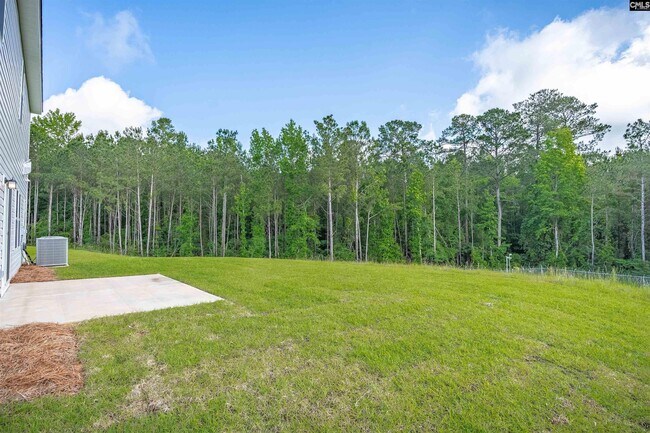 216 Caballeros Trail, Prosperity, SC 29127 - photo 7