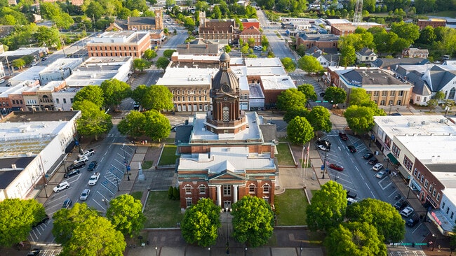 194 Lauritsen Way, Newnan, GA 30265 - photo 4