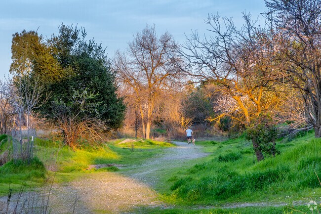 Enjoy the serene surroundings while running at Parkway Park.