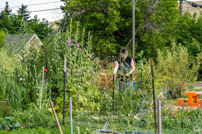 Support local at Garden City Harvest in the Northside neighborhood of Missoula.