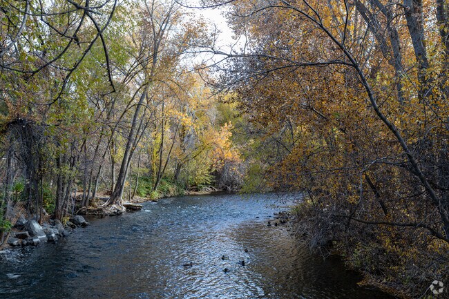 Paul Ream Wilderness Park is located in the Rivergrove neighborhood.