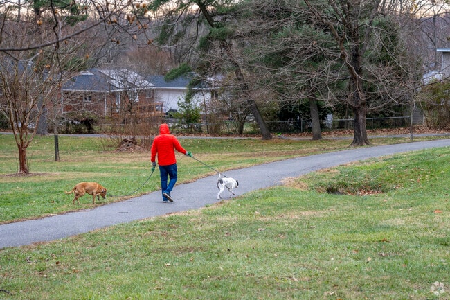 Silver Spring is covered in parkland, most prominently Rock Creek.
