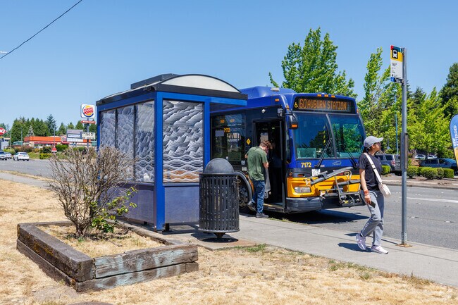 There are many bus stops throughout the East Hill neighborhood.