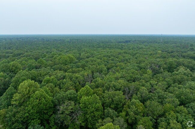 The dense canopy near Elwood, NJ, stretches toward Wharton State Forest, offering hiking, boating and historic landmarks.