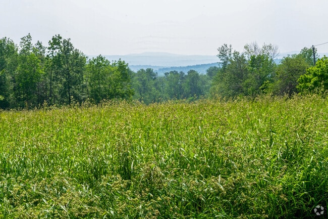 Middlefield is a peaceful town known for its scenic beauty, rolling hills, and forested landscapes.