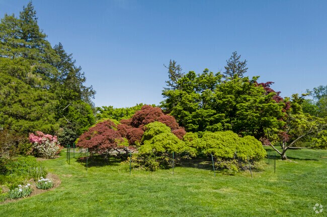 Discover the beauty of Coldspring’s variety of trees, perfect for nature enthusiasts.