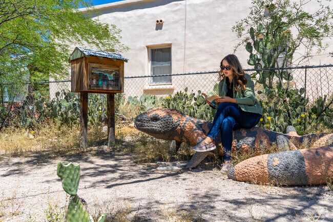 There are various Little Free Libraries in the Dunbar Spring neighborhood.