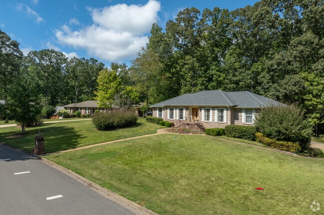 in Woodland Forrest.