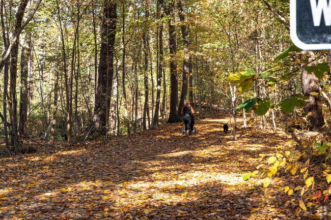 Haggetts resident enjoy dog walks through the trails at Haggetts Pond.