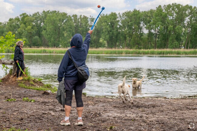 The dog park at Warner Park is a great free resource for Lerdahl Park residents.