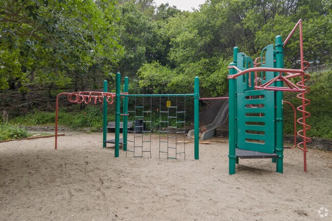 The lower play section at Dorothy Bolte Park in Kensington is surrounded by beautiful woods and plants.