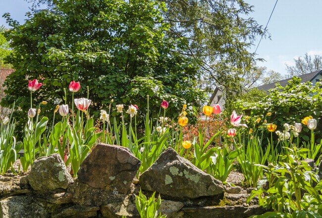 Nature is plentiful in Evergreen, with tree-lined streets, nearby parks, and lush green spaces throughout the community.