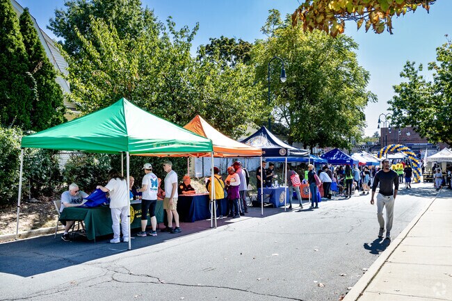 Vendors line the Grand Baldwin Festival.