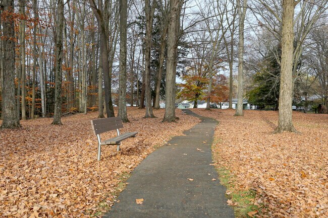 Collins Town Park is a beautiful place to relax and enjoy the wooded nature trail.