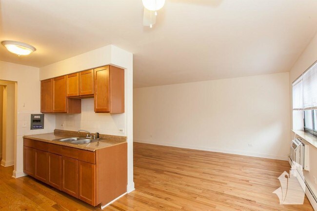 510 W Briar Place unit 501, Chicago, IL 60657 - photo 5
