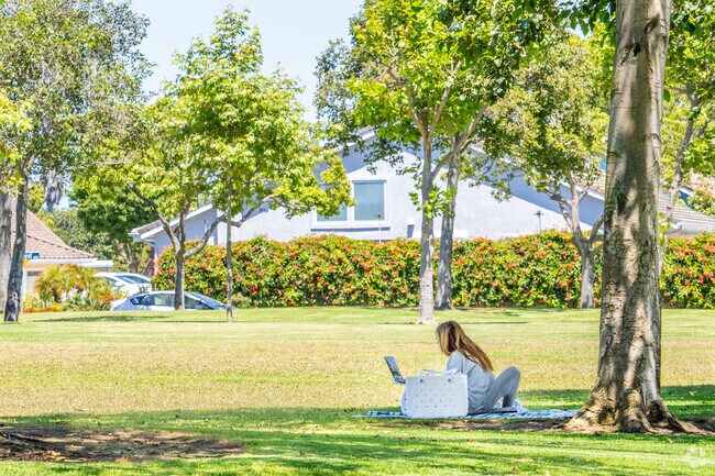 Sit under at shade tree at Cabrillo Park and get work completed.
