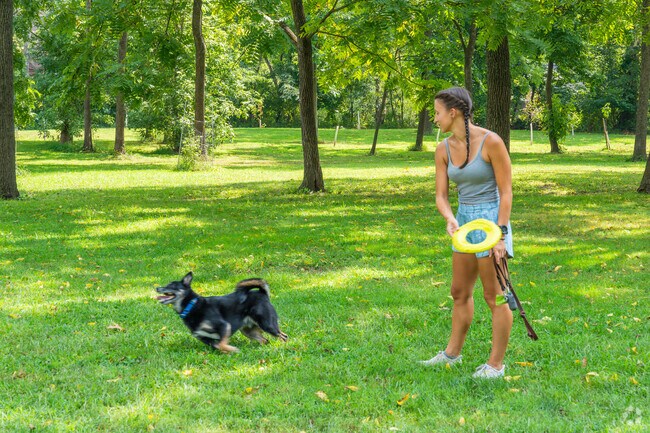 Pets and their owners in Lower Frederick Township play fetch at Foy Park.