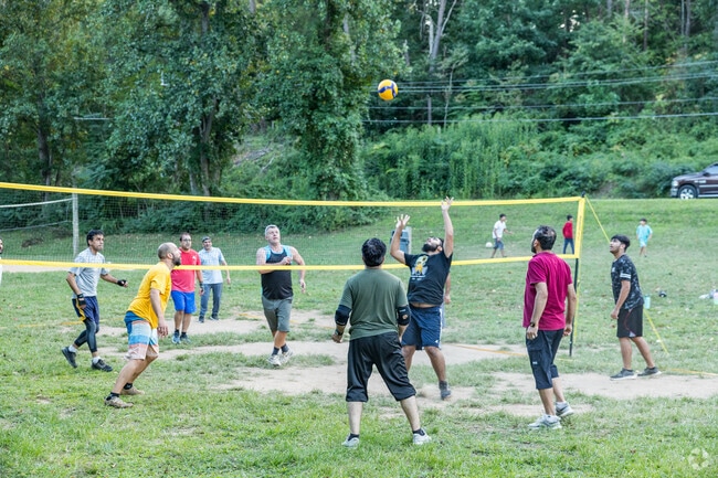 Locals gather for a game at the volleyball field in Stonebridge's Neabsco Regional Park.