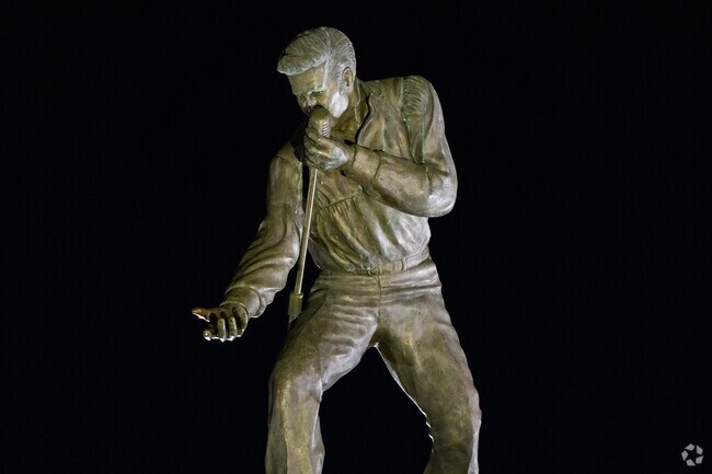 Elvis Presley once lived in Park Hill on N. Green Street.