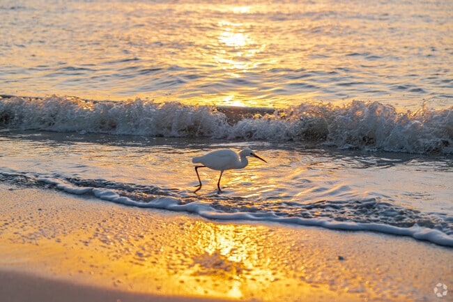Autumn Woods is close to several Gulf Shore beaches offering beautiful sunset views.