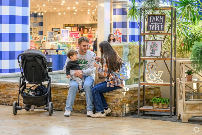 The Mall of Victor Valley is the major shopping center for residents of The Mesa.