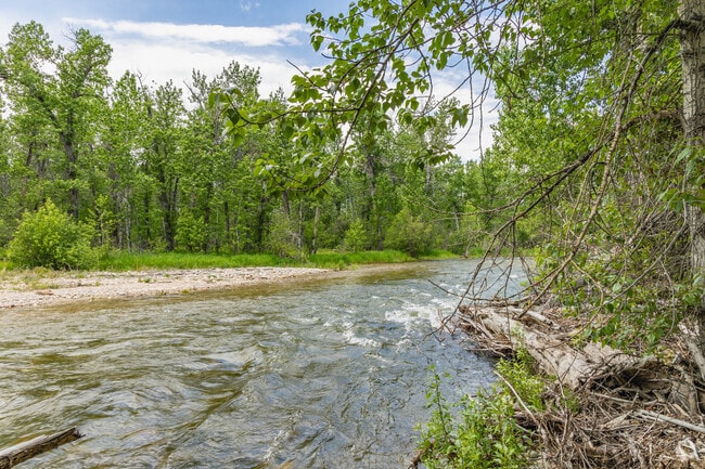 Bull Springs Fishing Access Site is a great place for Roberts residents to access Rock Creek.