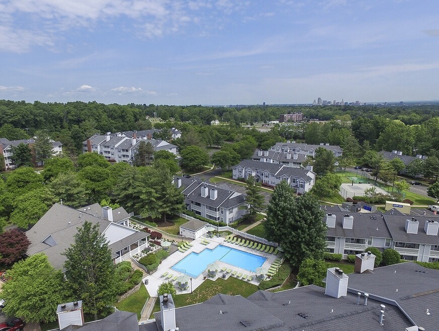Aerial View of the Community
